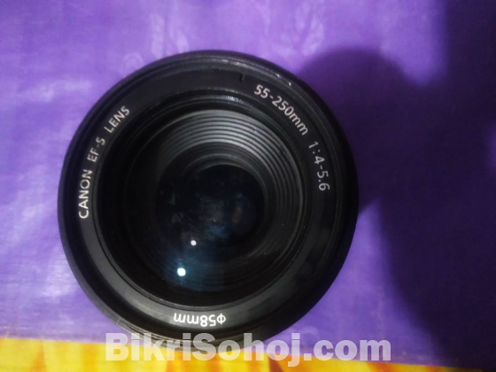 55-250 zoom lens